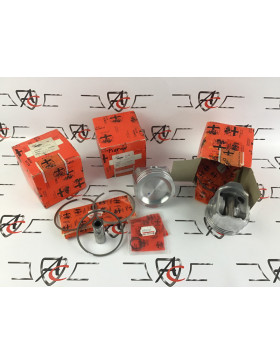 AC1171861931 SET PISTONES...