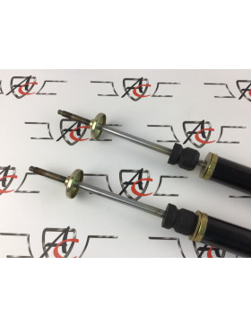 AC1171615861 Rear Shock...