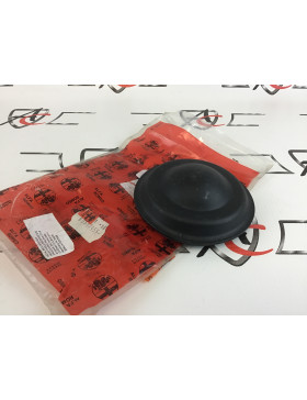 AC1171618566 TAPA...