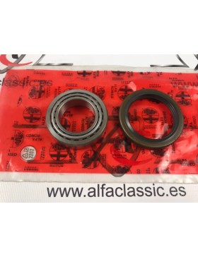 AR1171632394 SET COJINETE +...