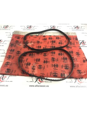 AR1171614113 SET 2 CORREAS...