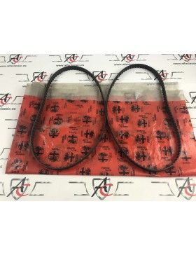 AR1171614113 SET 2 CORREAS...