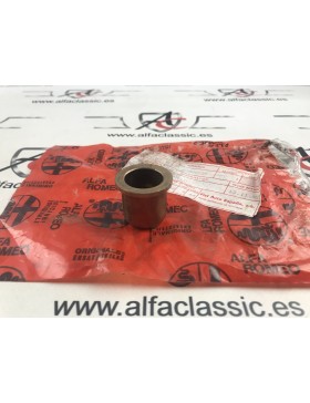 AR1171911640 CASQUILLO...