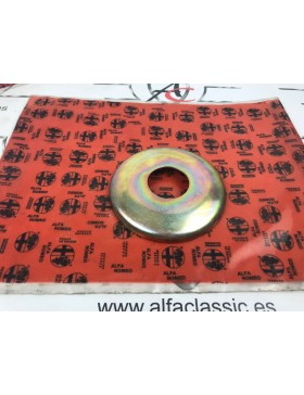AR1171614268 PLACA POLEA...